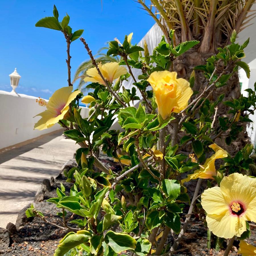 Apartamento La Concha Seaview Direct At The Beach & Sea Cotillo Exteriör bild